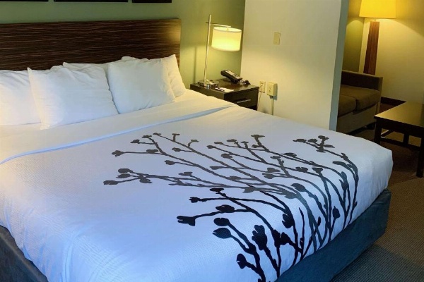 Sleep Inn & Suites Queensbury - Lake George image 14