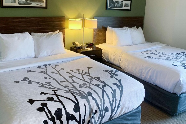 Sleep Inn & Suites Queensbury - Lake George image 7